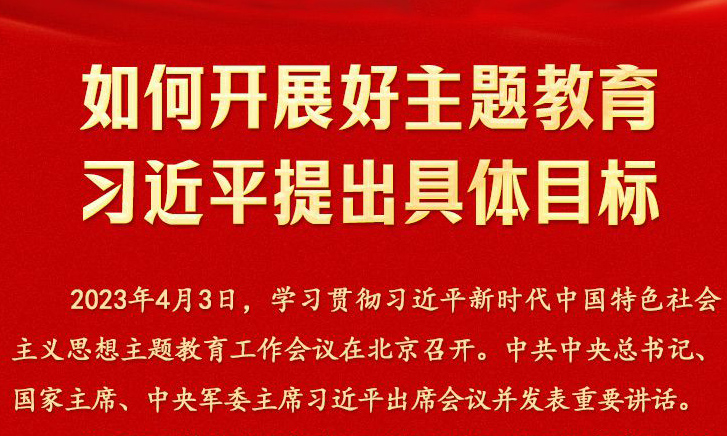 如何开展好主题教育 习近平提出具体目标